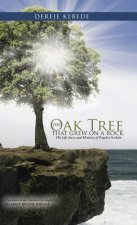Oak Tree that Grew on a Rock