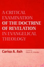 Critical Examination of the Doctrine of Revelation in Evangelical Theology