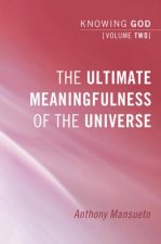 Ultimate Meaningfulness of the Universe: Knowing God, Volume 2