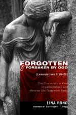 Forgotten and Forsaken by God (Lamentations 5:19-20)