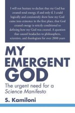 My Emergent God