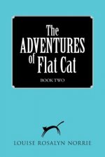 ADVENTURES of Flat Cat