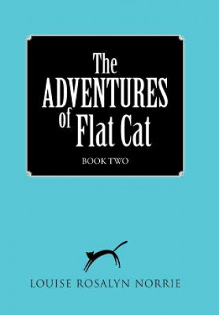ADVENTURES of Flat Cat