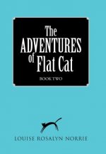 ADVENTURES of Flat Cat