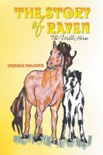 Story of Raven