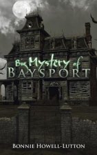 Big Mystery of Baysport