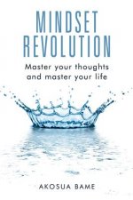 Mindset Revolution