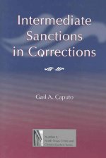 Intermediate Sanctions in Corrections