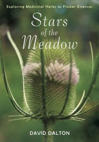 Stars of the Meadow