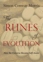 Runes of Evolution