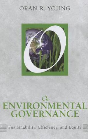 On Environmental Governance
