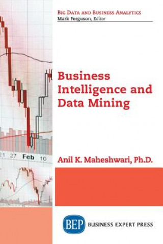 Business Intelligence and Data Mining
