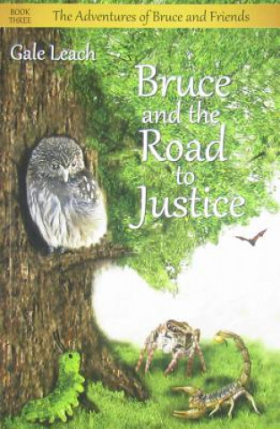 Bruce and the Road to Justice