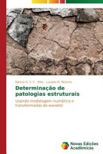 Determinacao de patologias estruturais