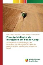 Fixacao biologica de nitrogenio em Feijao-Caupi
