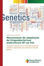 Mecanismos de adaptacao da Exiguobacterium antarcticum B7 ao frio