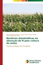 Bacterias diazotroficas na absorcao de N pela cultura do milho