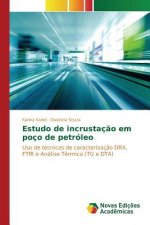 Estudo de incrustacao em poco de petroleo