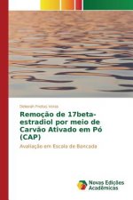 Remocao de 17beta-estradiol por meio de Carvao Ativado em Po (CAP)