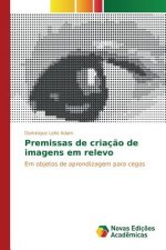 Premissas de criacao de imagens em relevo