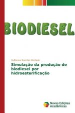 Simulacao da producao de biodiesel por hidroesterificacao