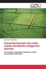Caracterizacion de cana caida mediante imagenes aereas