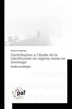 Contribution A L Etude de la Lubrification En Regime Mixte En Laminage