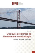 Quelques Problemes de Flambement Viscoelastique