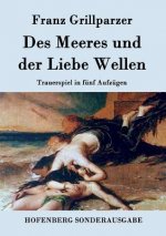 Des Meeres und der Liebe Wellen