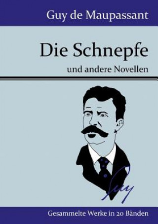 Schnepfe