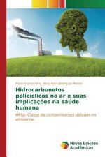 Hidrocarbonetos policiclicos no ar e suas implicacoes na saude humana