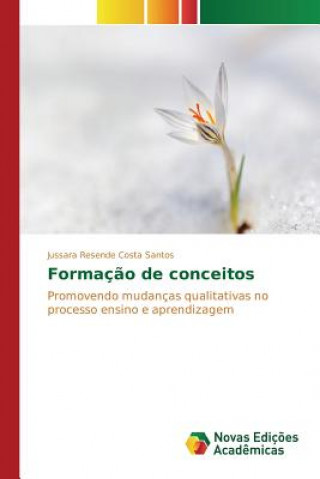 Formacao de conceitos