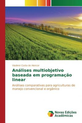 Analises multiobjetivo baseada em programacao linear