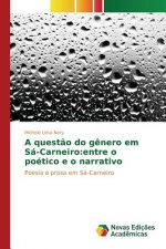 questao do genero em Sa-Carneiro