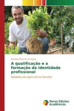 qualificacao e a formacao da identidade profissional