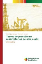 Testes de pressao em reservatorios de oleo e gas