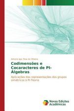 Codimensoes e Cocaracteres de PI-Algebras