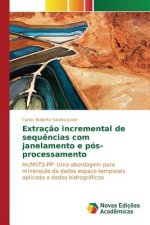 Extracao incremental de sequencias com janelamento e pos-processamento
