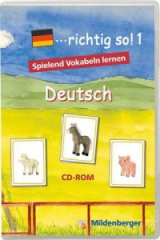 richtig so!, 1 CD-ROM. Tl.1, CD-ROM