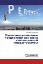 Malye innovacionnye predpriyatiya kak zveno innovacionnoj infrastruktury
