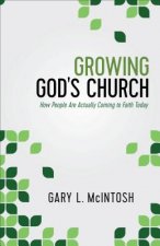 Growing God`s Church - How People Are Actually Coming to Faith Today