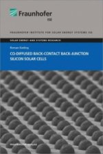 Co-diffused Back-Contact Back-Junction Silicon Solar Cells.