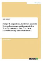 Merger & Acquisitons. Inwieweit kann ein Unternehmenswert mit immateriellen Vermoegenswerten ohne UEber- bzw. Unterbewertung ermittelt werden?