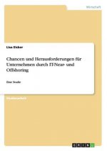 Chancen und Herausforderungen fur Unternehmen durch IT-Near- und Offshoring