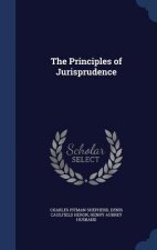 Principles of Jurisprudence
