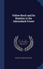 Yellow Birch and Its Relation to the Adirondack Forest