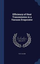 Efficiency of Heat Transmission in a Vacuum Evaporator