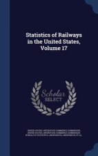 Statistics of Railways in the United States, Volume 17