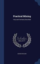 Practical Mining
