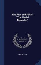 Rise and Fall of the Model Republic.